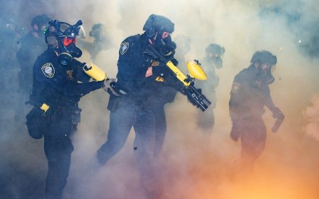 DHS unloads on anti-ICE Dems after man arrested with manifesto, 'disturbing' alleged plot to kill agents