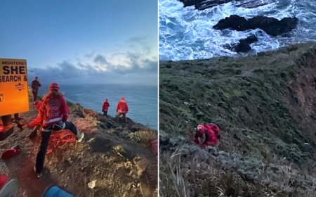 Vehicle falls 500 feet off towering cliff along California scenic roadway, killing one