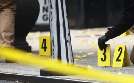 Media Mute as Murder Drops Amid Trump's Deportation Drive