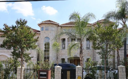 Report: CCP Official Tied to 26 Babies in CA Surrogacy Scam Wanted One of His Offspring to Eventually Become U.S. President