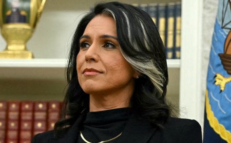 Gabbard ends task force that aimed to reform intelligence gathering after less than a year