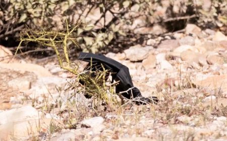 Nancy Guthrie case investigators find set of black gloves near roadside