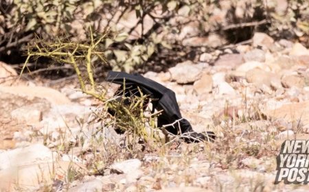 Nancy Guthrie case investigators find black gloves near roadside