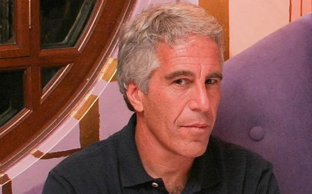 DAVID MARCUS: Guess who has done more than anyone to expose Epstein's evil exploits
