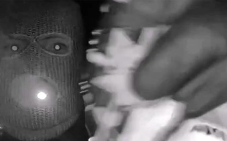 Possible tattoo seen in Nancy Guthrie video may help ID subject, former profiler says