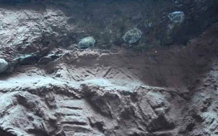 Dinosaur Eggs the Size of Cannonballs Were Discovered Packed With Massive Crystals Instead of Fossilized Bones