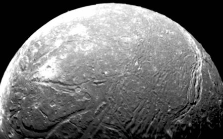 This Tiny Moon of Uranus Might Be Hiding a Massive Ocean, and It Could Harbor Life!