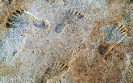 Scientists Have Discovered Ancient Human Footprints Buried in Remote Desert Sands