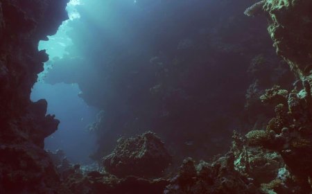 A Chinese Team Found Something Incredible 10,000 Meters Below the Ocean, Here’s What What They Discovered