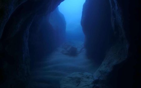 Scientists Just Discovered What Created This Massive, Mysterious Ocean Canyon Bigger Than the Grand Canyon!