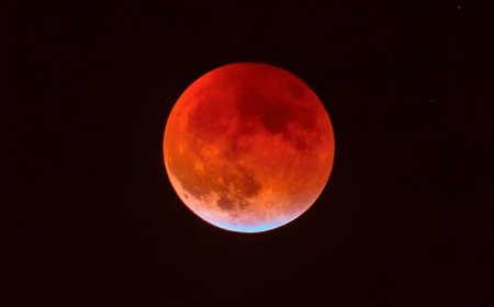 Get Ready for the Spectacular Blood Moon Eclipse: Here’s How to Catch It!