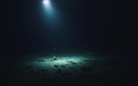 Scientists Just Found a Fossil at the Bottom of the Ocean. Here’s What It Reveals About Our Ancestors!