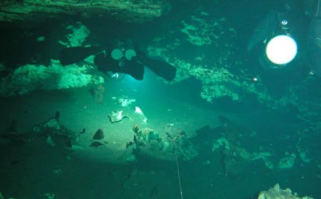 This Hidden Cave System in Mexico Just Reclaimed the Title of the World’s Longest, and It’s Still Growing!