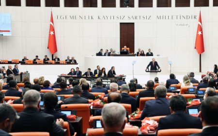 Turkey: Lawmakers Brawl to Stop Swearing-In of Justice Minister