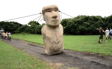 For centuries, we believed that the moai statues were dragged until they destroyed the island… now science says that they walked, and history changes completely