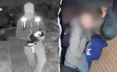 Former FBI agent urges caution as surveillance video of man in Guthrie area circulates web