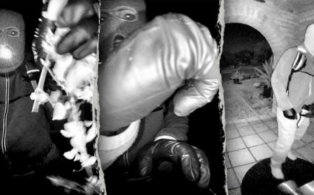 Former FBI agent calls holster setup in Nancy Guthrie case 'incredibly amateur and unsafe'