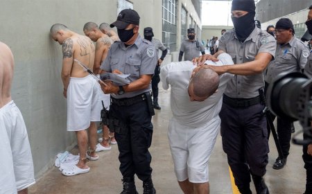 Americans may have to pay to bring back alleged members of 'foreign terrorist cartel' to US