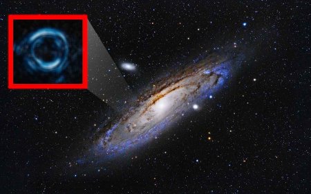 Solar System may be full of “dark bubbles” — NASA detects more than 100 million and warns “they are dangerous”