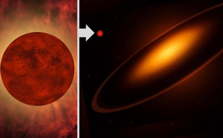 A mystery object is dimming a distant star. Could it be a massive exoplanet, or a 'failed star'?