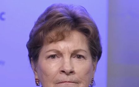 Dem Sen. Shaheen: Reform Must Stop ICE from 'Terrorizing American Citizens'