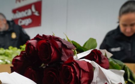 Report: Colombia Causes Security Scare with Valentine's Day Flowers Delivered to U.S. Congress