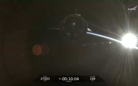 SpaceX Crew-12 mission latest news: It's docking day for Dragon astronauts