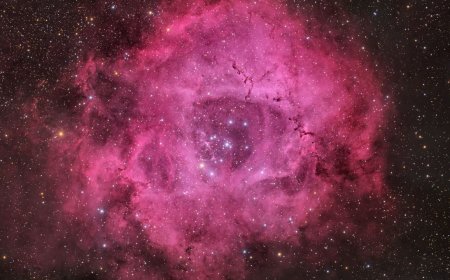 Single this Valentine's Day? Don't worry, the universe has a rose just for you (photo)