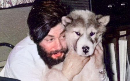 How Did His Body Surface After 66 Years? The Lost Antarctic Explorer Found in a Glacier