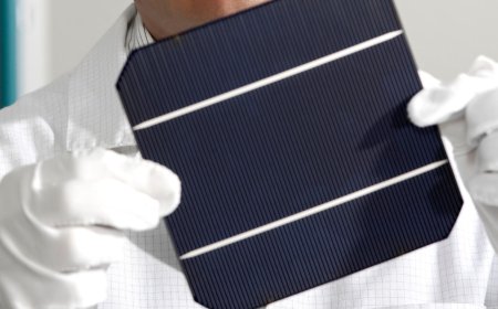 “It was the Rolls-Royce of energy” — Expert reveals the ‘dirty secret’ of solar panels