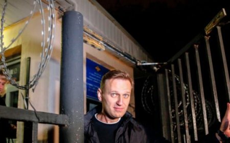 Five European Nations Accuse Kremlin of Poisoning Opposition Leader Navalny with Frog Toxin