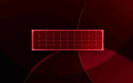 Solar panels are red in Europe — They produce something more beyond energy and last for 30 years