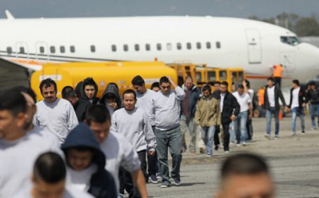 ICE 'Detention Reengineering' Plan Will Expand Capacity, Speed Deportation of Criminal Aliens