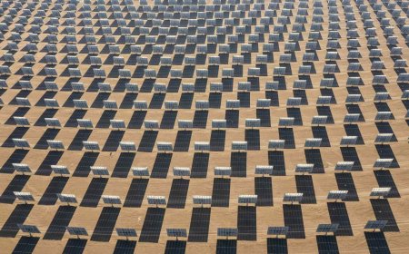 It’s creating its own life — Solar plant in America starts behaving in unexpected ways after hitting record output