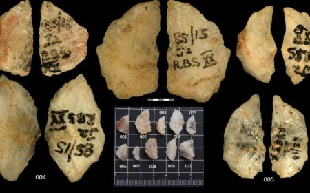 60,000-year-old poisoned arrows discovered in South Africa reveal that early humans mastered lethal chemistry long before agriculture or writing