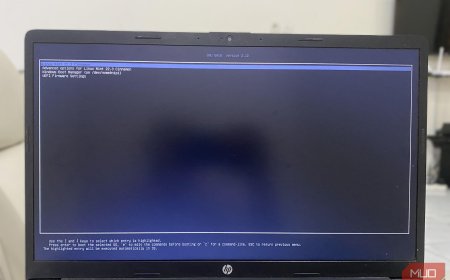 If you dual-boot Linux, don't make these costly 4 mistakes