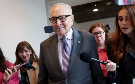 Schumer pushes bill to give Pride flag same status as US, military flags