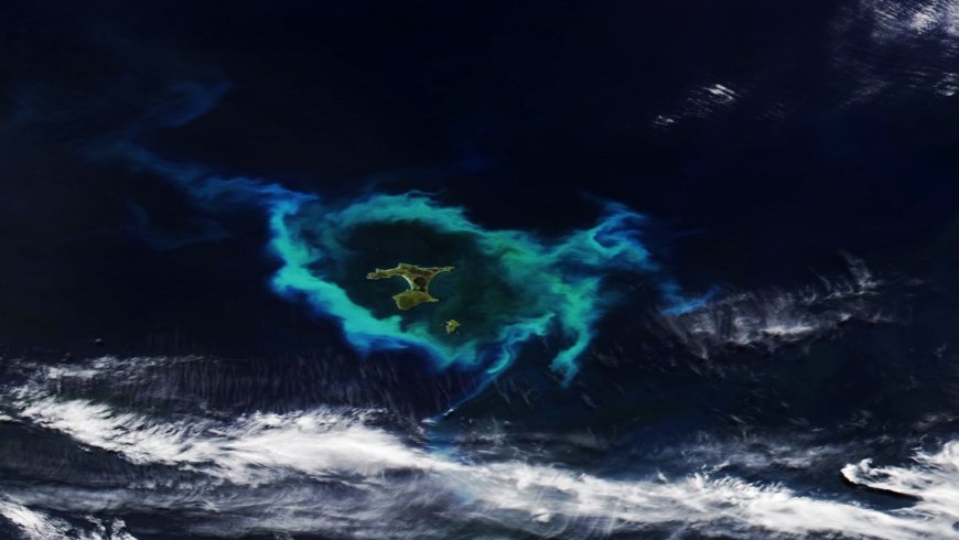 Like “underwater auroras” — NASA detects glowing rings in the South Pacific and points to an “unmistakable sign of life”