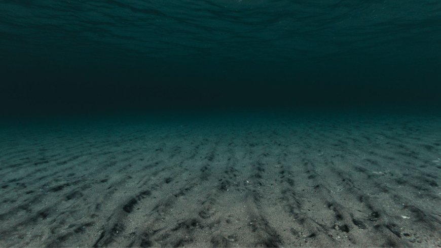 Scientists know more about the Moon than the ocean — and scientists didn’t expect the last discovery