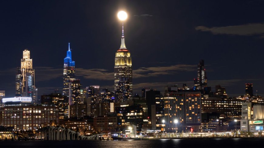 Stargazing in the city: what you can (and can't) see at night