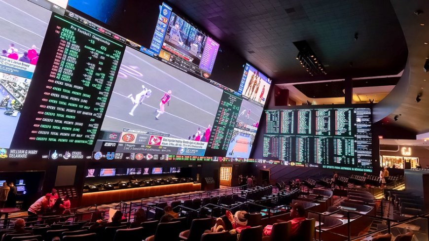 BetMGM introduces 'zero-tolerance' athlete anti-harassment policy targeting sports betting threats and abuse