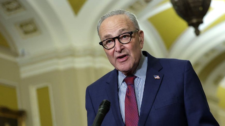 Schumer nukes GOP push for 'Jim Crow-era' voter ID laws in Trump-backed shutdown package