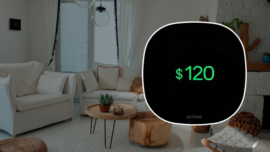 “Your bill is skyrocketing”: New Yorker shares a simple move that saves $120 — And utilities “don’t want you using it”