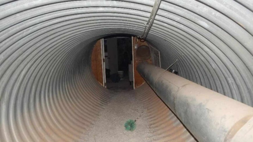 A 30-meter tunnel and bunker containing rifles, shotguns, and 10,000 rounds of ammunition were discovered under a house in California: no one could have imagined what this place was hiding