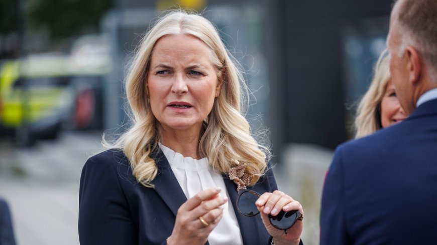 Crown Princess Mette-Marit's Epstein ties 'unraveling' after document dump, experts warn