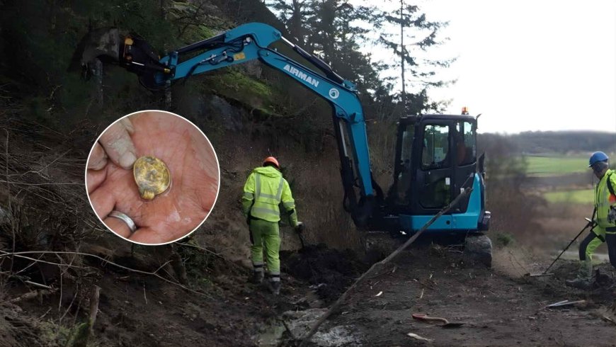 A metal detectorist heard a beep in a plowed field and walked up a hillside in ancient Norway and found seven gold medallions buried and abandoned in the 6th century