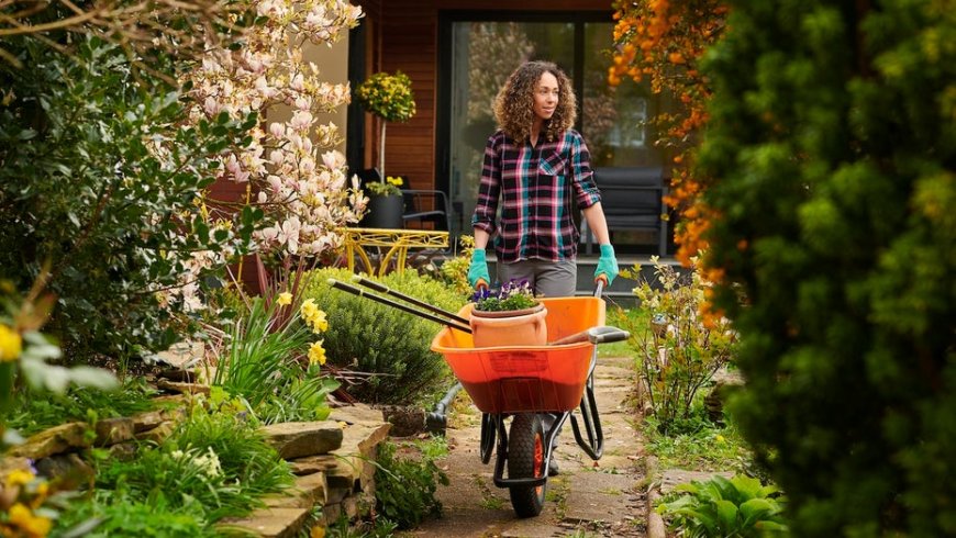 19 lawn and garden products worth buying before spring hits