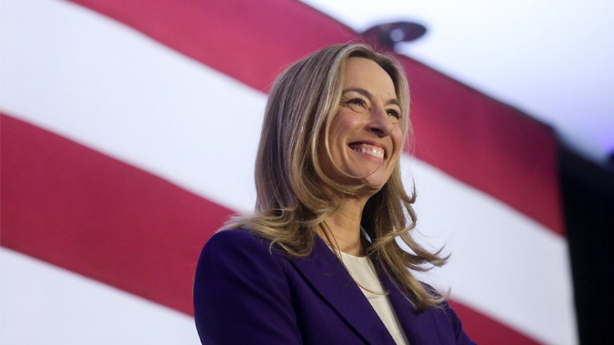 11 Democrats running to keep blue-leaning seat in party hands as GOP House majority on the brink