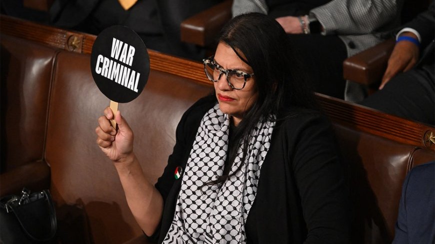 Watchdog releases scathing report on Tlaib's alleged ties to terrorist groups warning of 'potential risks'