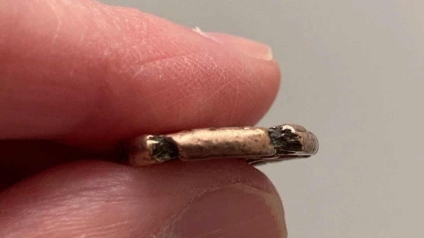 A metal detectorist found two gold coins in a quiet field in Anglesey, returned another day and then another, until the field began to tell a story that no one in Wales had seen before